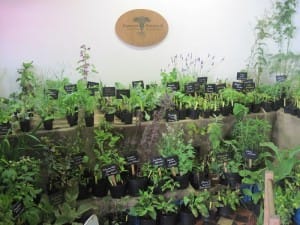 HerbFeast 2014 