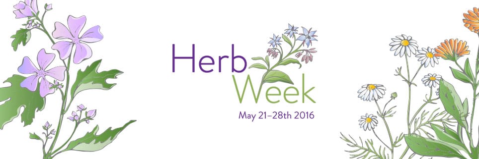 herbweek_web2016-1
